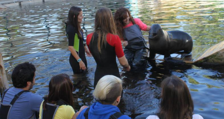 3 monitoras realizando la actividad con un león marino. Junto a ellas hay un grupo de jóvenes