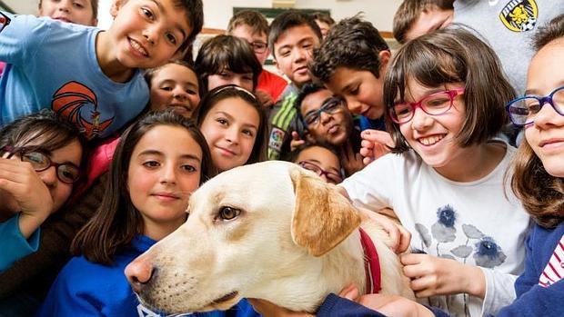 En la imagen se puede observara un grupo de niños en una sesión de perroterapia rodeando a uno de los perros especializados. 