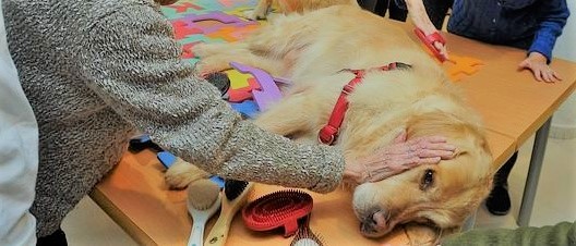 Una residente acaricia a uno de los perros que participan en la terapia